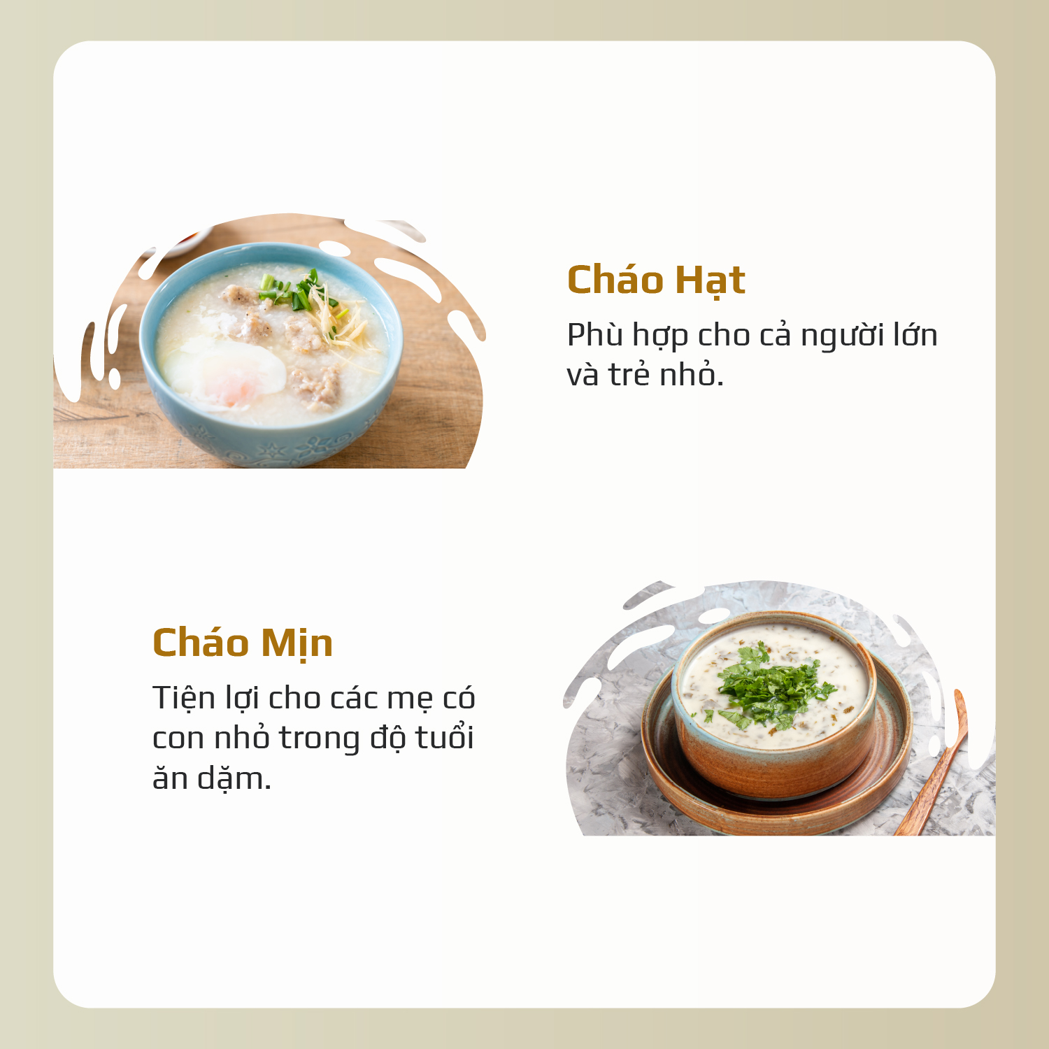 Máy Xay Nấu Đa Năng OLIVO CB2000 9 Máy Xay Nấu Đa Năng OLIVO CB2000 9
