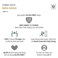 Máy Xay Sinh Tố Cầm Tay OLIVO PB01 21