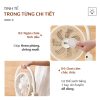 Quạt Tuần Hoàn Không Khí OLIVO CF1 PRO 17