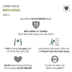 Máy xay sinh tố OLIVO MB300 20