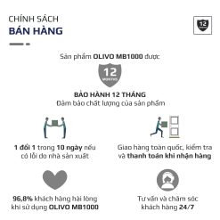 Máy Xay Sinh Tố OLIVO MB1000 24
