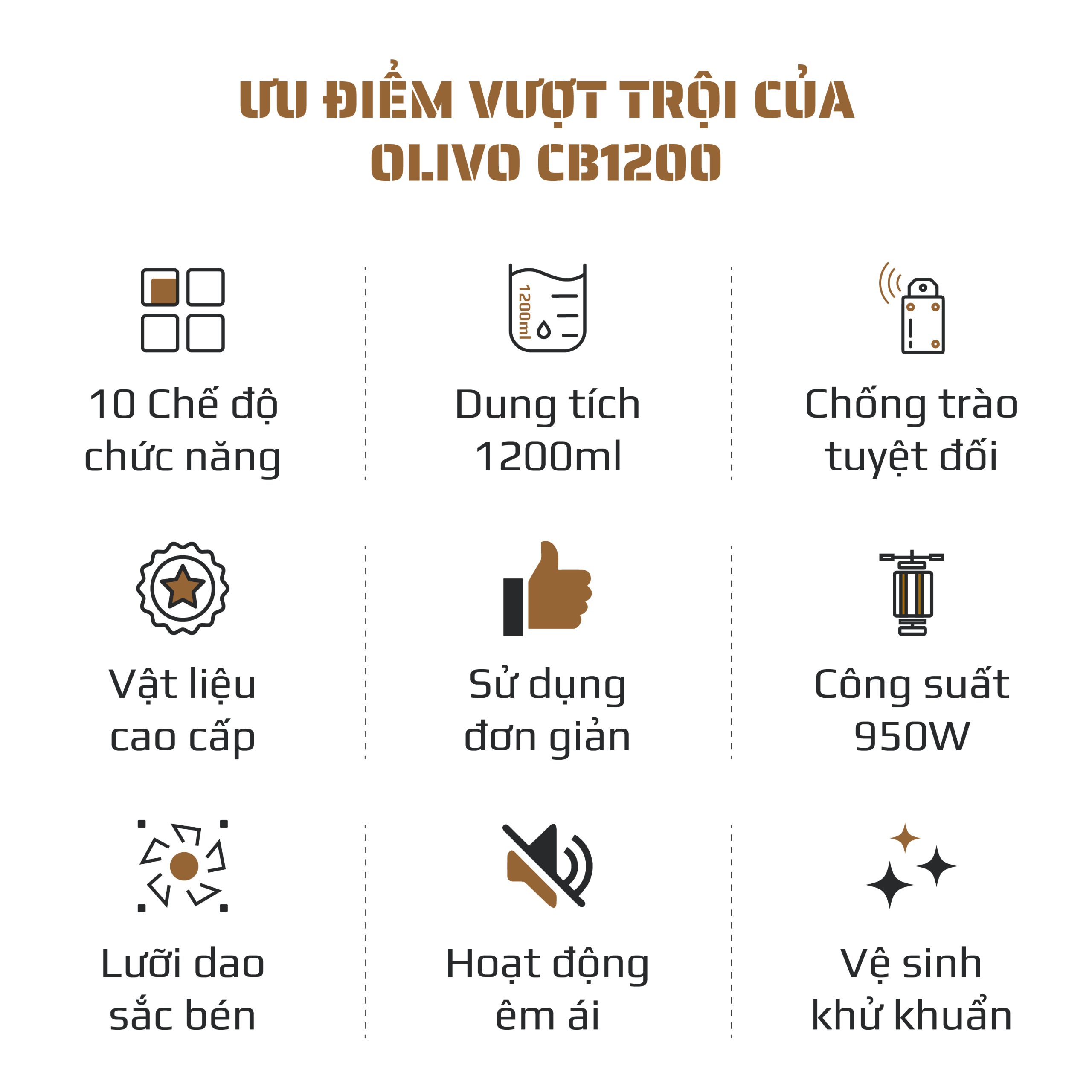 CB1200 VUONG-02