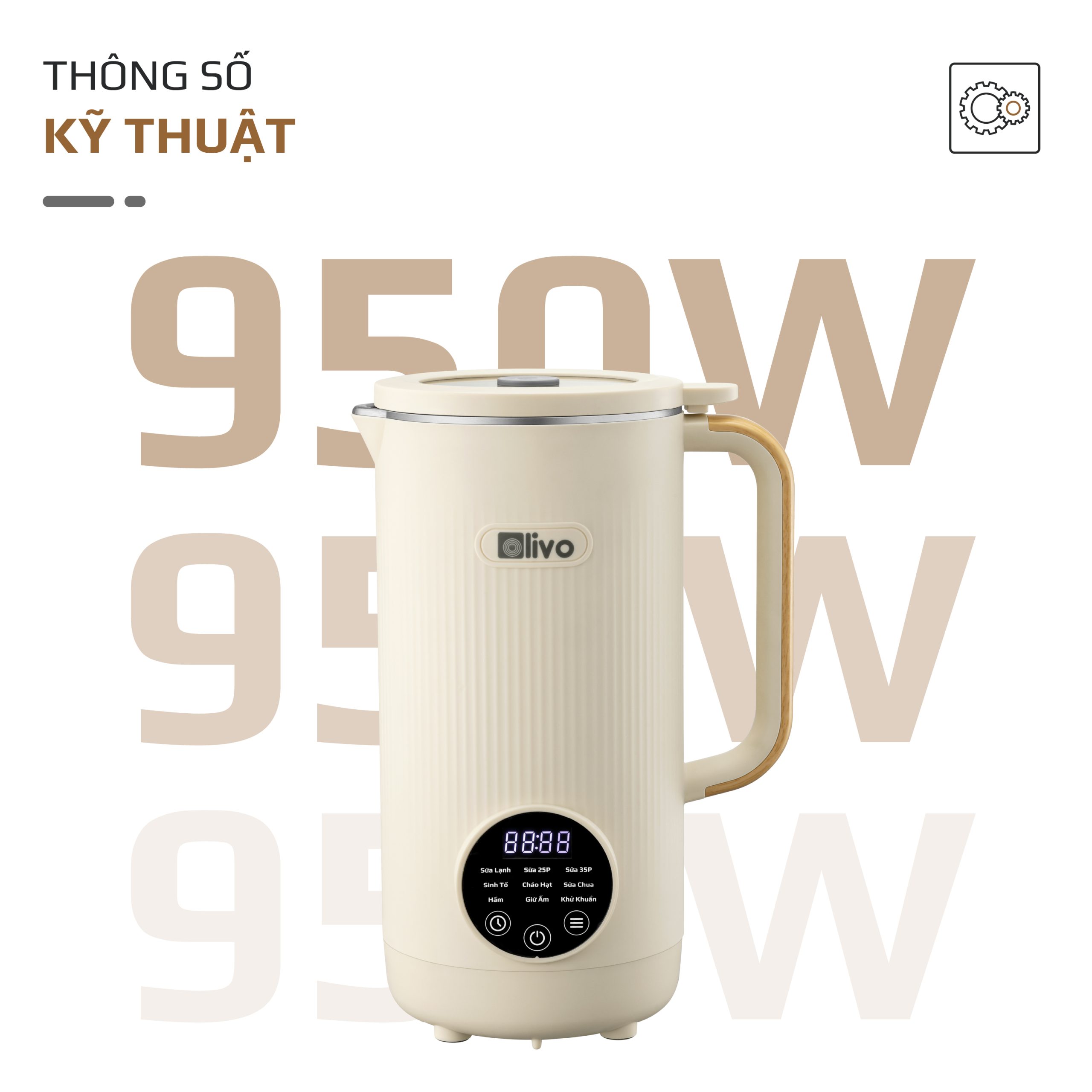 CB1200 VUONG-29