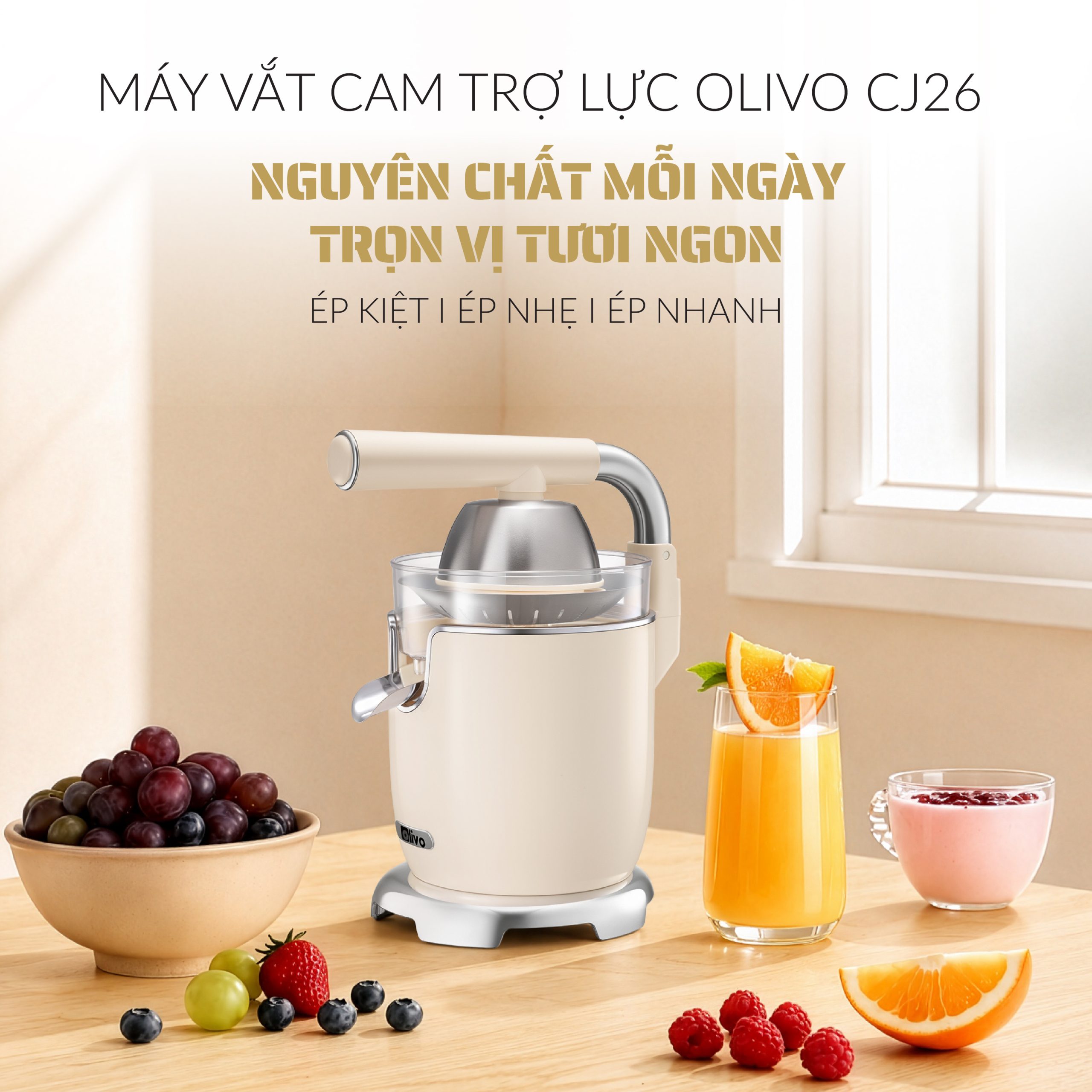 VUONG CJ26-01