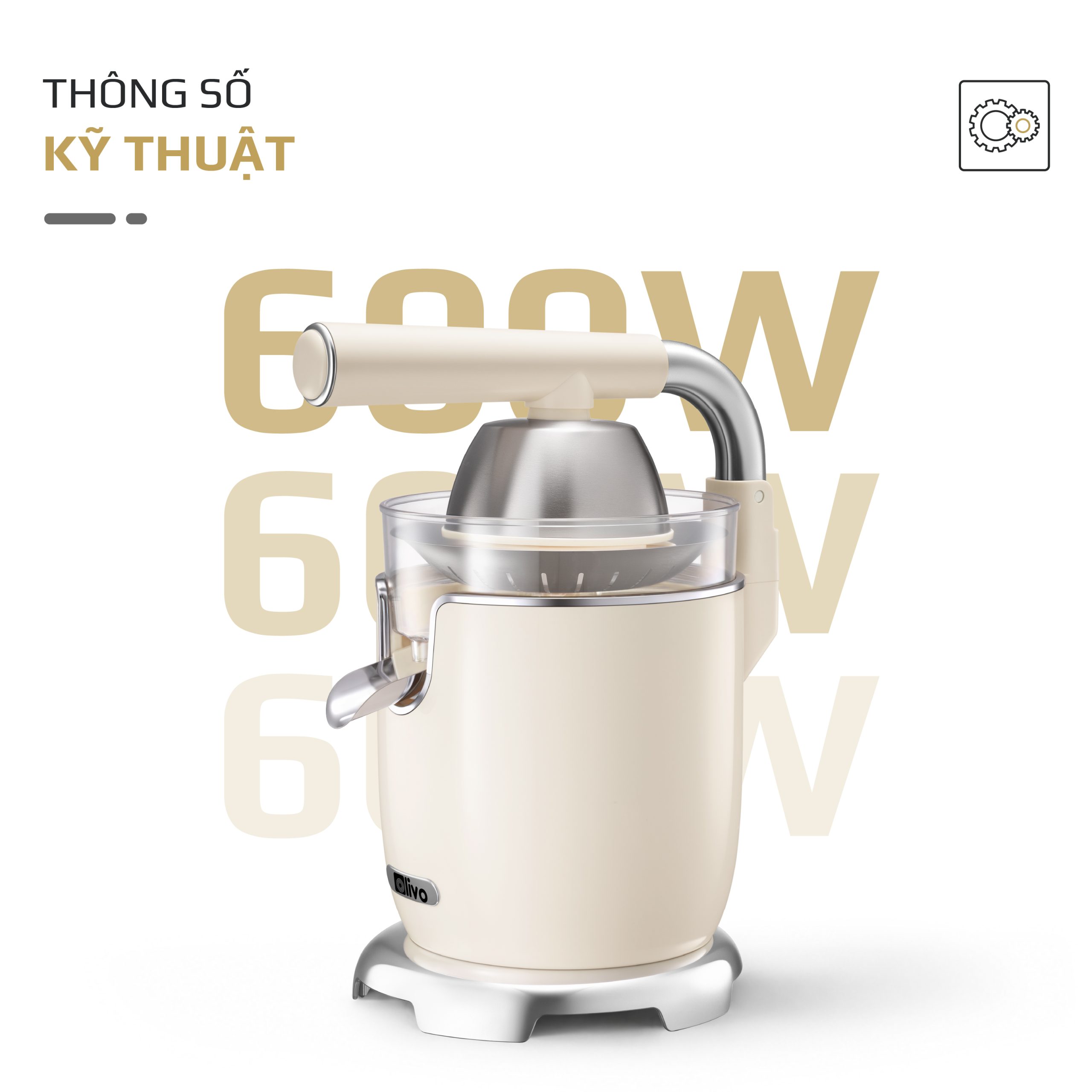 VUONG CJ26-21